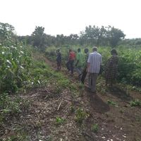 GUTEN MORGEN FOUNDATION MORINGA FARM