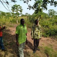 Urban - GMF - Ghana - Donation - Moringa - Farm