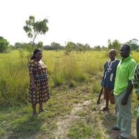 Urban - GMF - Ghana - Donation - Moringa - Farm